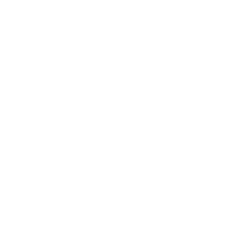 보고서 출력